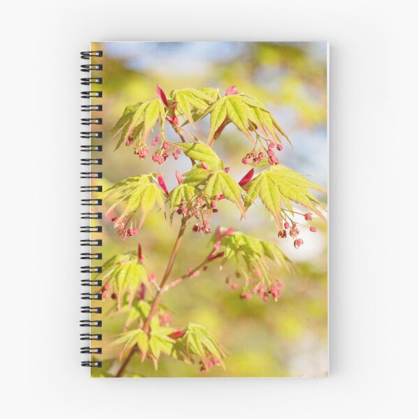 Item preview, Renewal designed and sold by Linda Lees.
