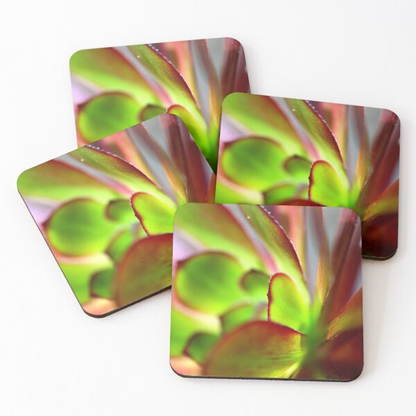 Item preview, Purple Aeonium Macro No1 designed and sold by NakedSunday.