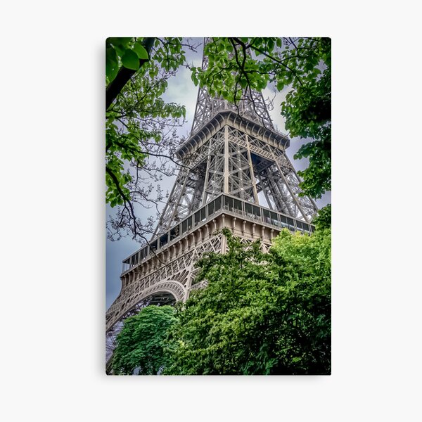 The Eiffel Tower Paris, France. Canvas Print