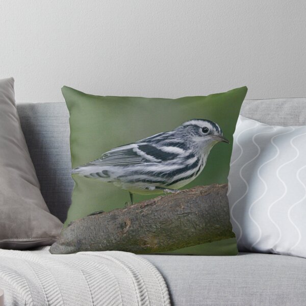 Aperçu de l'œuvre Black & White Warbler créée et vendue par Enola Gay Wagner.