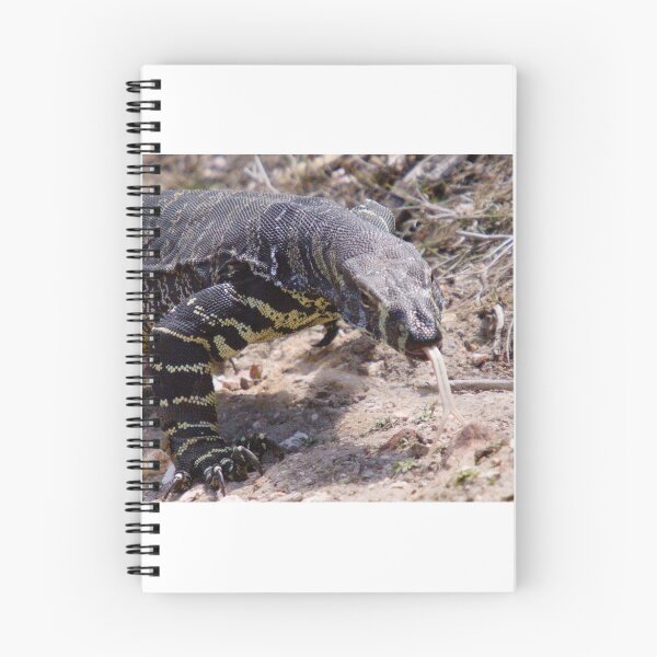 Item preview, Lace Monitor Pano designed and sold by inthewild.