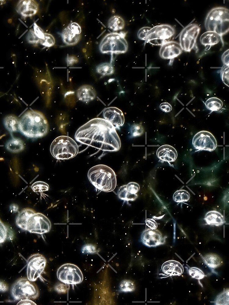 Lost in Space by RayW