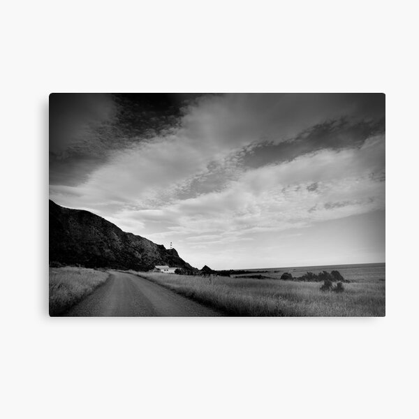 The Cape Metal Print