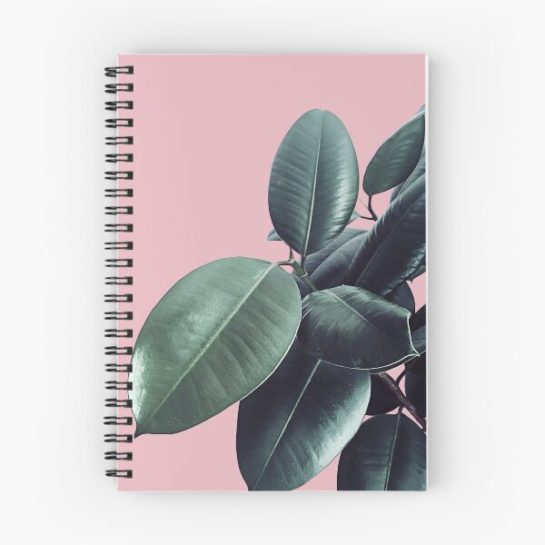 Item preview, Ficus Elastica #14 #CoralBlush #decor #art designed and sold by Anita's & Bella's Art.