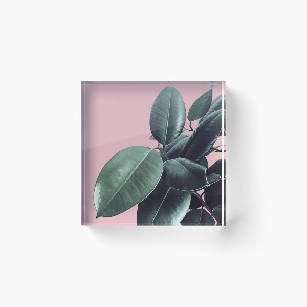 Item preview, Ficus Elastica #14 #CoralBlush #decor #art designed and sold by Anita's & Bella's Art.