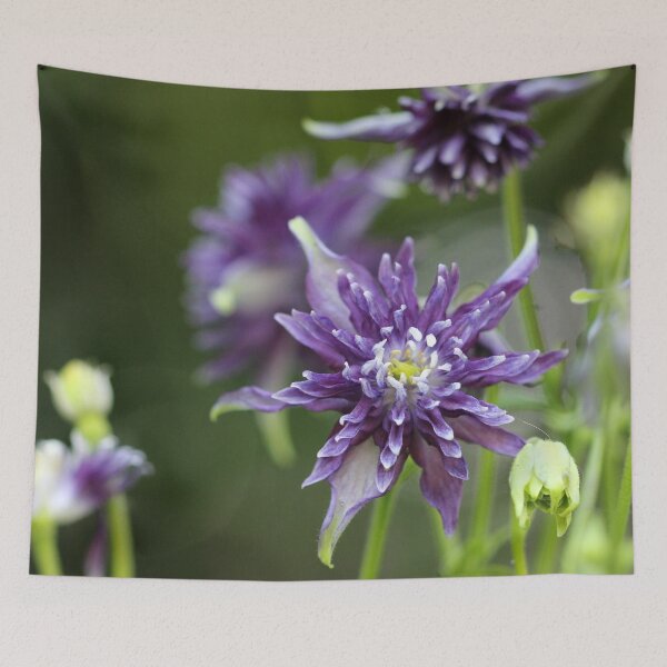 Item preview, Purple Star Columbine  designed and sold by cuprum.