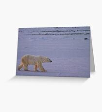 Bound for ice Greeting Card