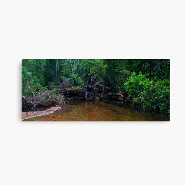 The barricade Canvas Print