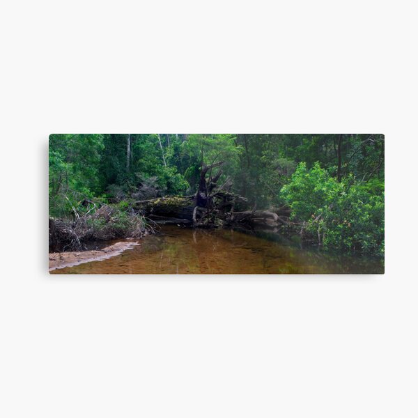 The barricade Metal Print