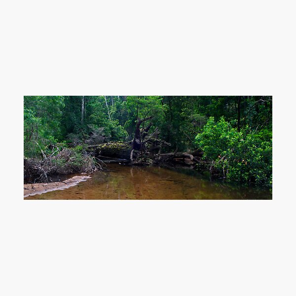 The barricade Photographic Print