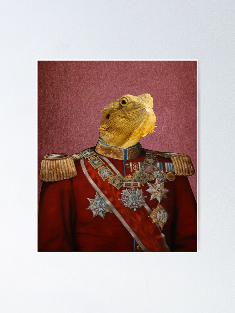 bearded dragon apparel