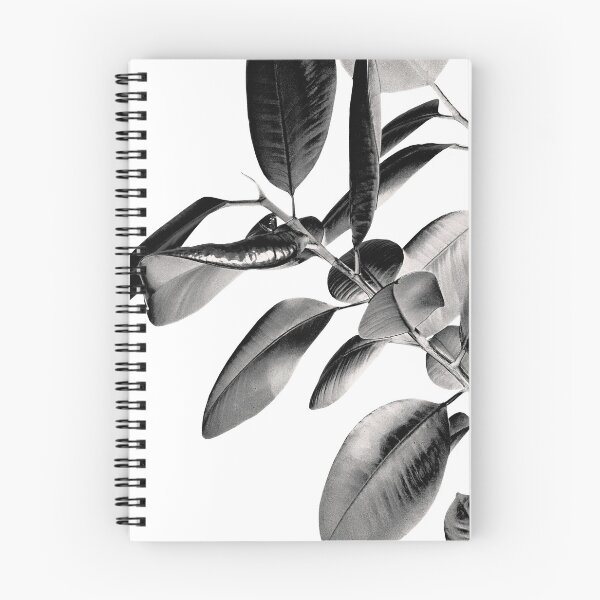 Item preview, Ficus Elastica Black Gray White Vibes #1 #foliage #decor #art  designed and sold by Anita's & Bella's Art.