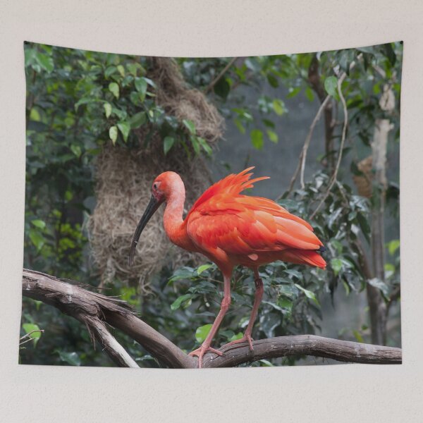 Item preview, Scarlet Ibis perched on a vine designed and sold by Allen Penton.