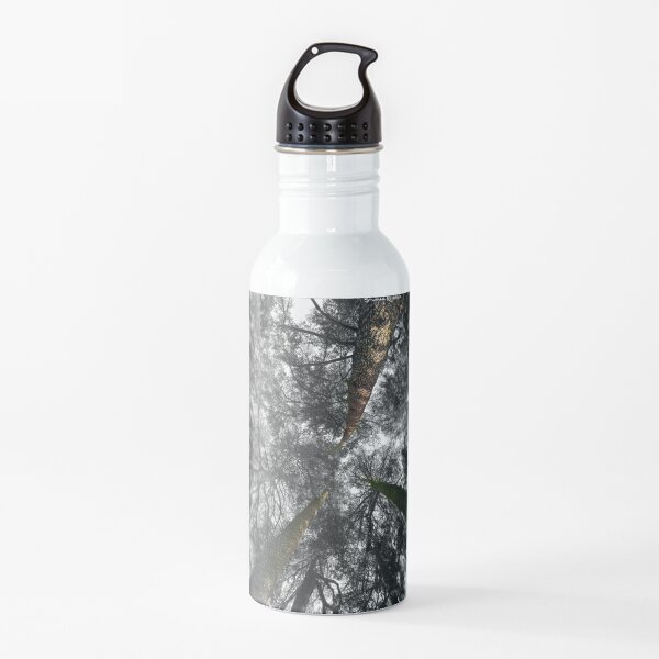Lost in the Forest Water Bottle