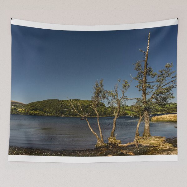 Item preview, Trees on Ullswater designed and sold by grumpykeith.
