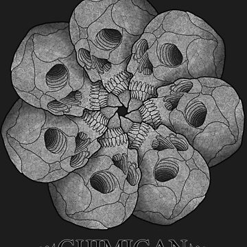 Vorschaubild zum Design Skulldala von Stefan K. Heider