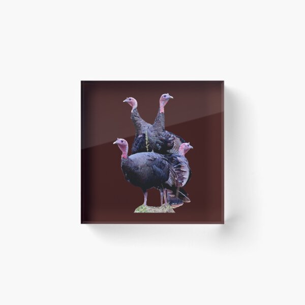 Item preview, Wild Turkeys designed and sold by Maureen Zaharie.