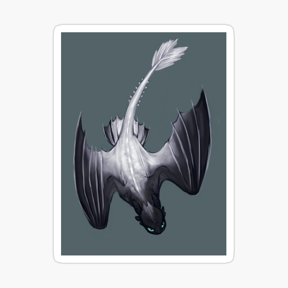 Night Fury X Light Fury