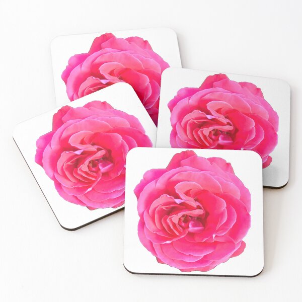 Item preview, Pink Garden Rose designed and sold by HandDrawnPlants.