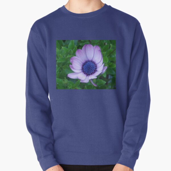 minnie and daisy sweatshirt