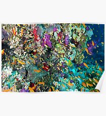 Coral Reef Poster