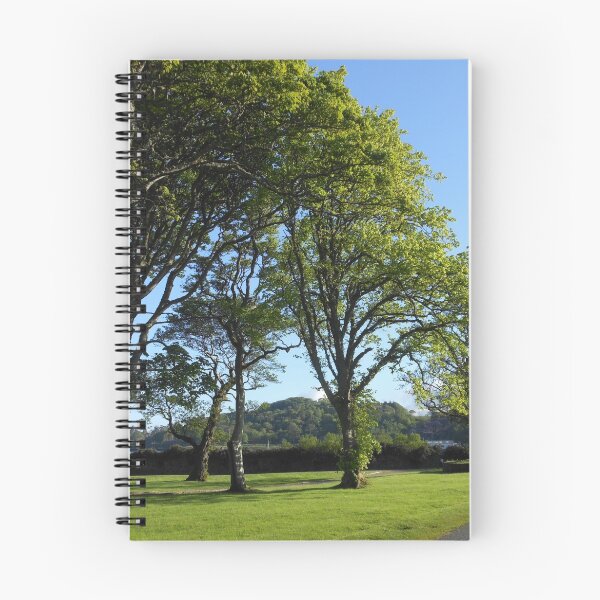 Item preview, Row of Trees, Lews Castle Grounds, Stornoway designed and sold by SunriseRose.