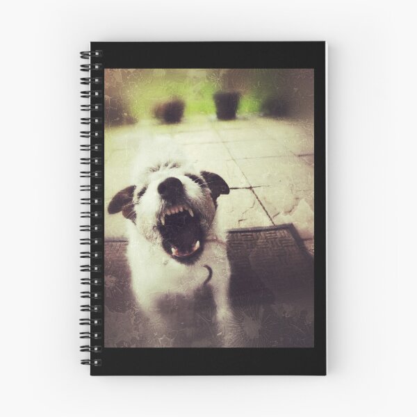 Item preview, Angry Jack Russell designed and sold by everyplate.