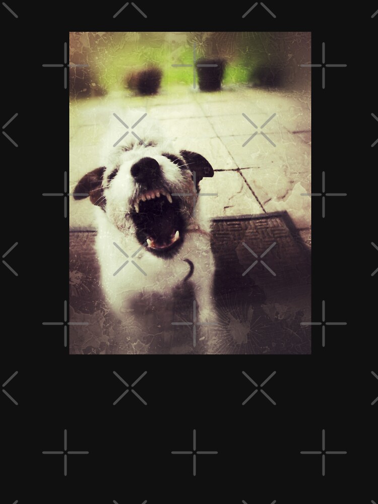 Angry Jack Russell by everyplate
