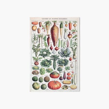 Adolphe Millot - Légumes pour tous - French vintage poster Art Board Print