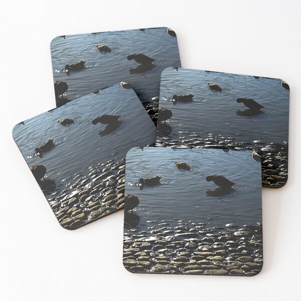 Item preview, Ducks at dusk. designed and sold by Paul Pasco.
