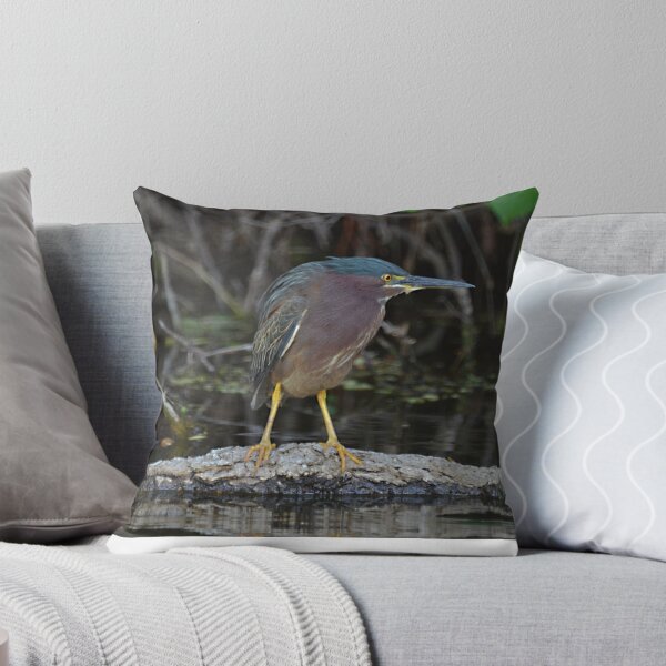 Item preview, little green heron designed and sold by Margaret Shark.