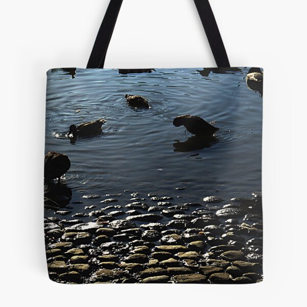 Item preview, Ducks at dusk. designed and sold by Paul Pasco.