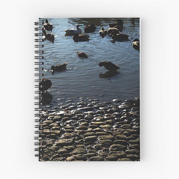 Item preview, Ducks at dusk. designed and sold by Paul Pasco.