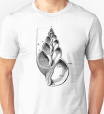 Fibbonaci Shell Unisex T-Shirt