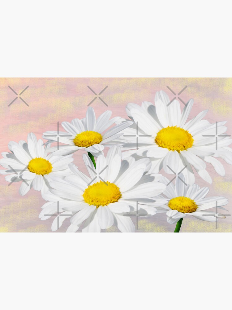 Common Daisies Flower Sticker