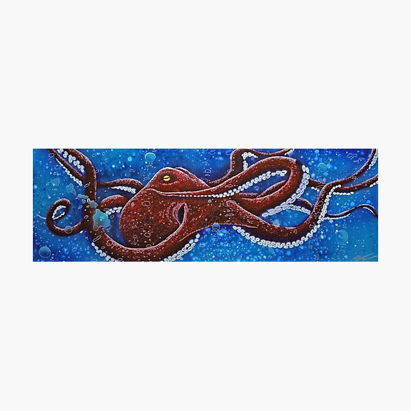 Ali'i Tako Photographic Print