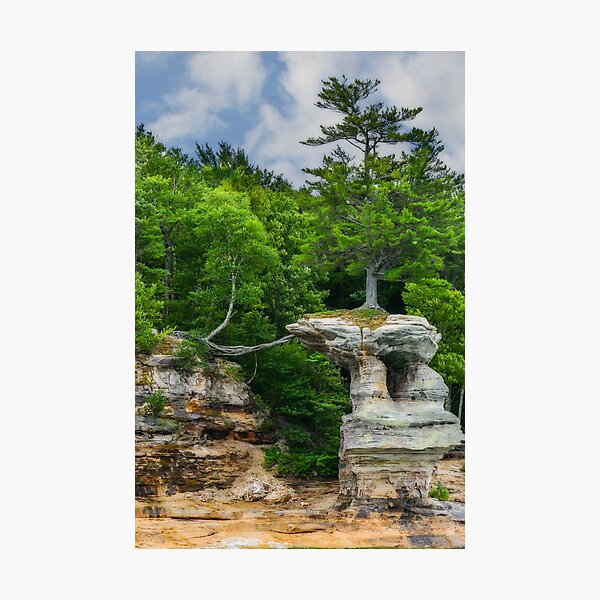 All alone Photographic Print