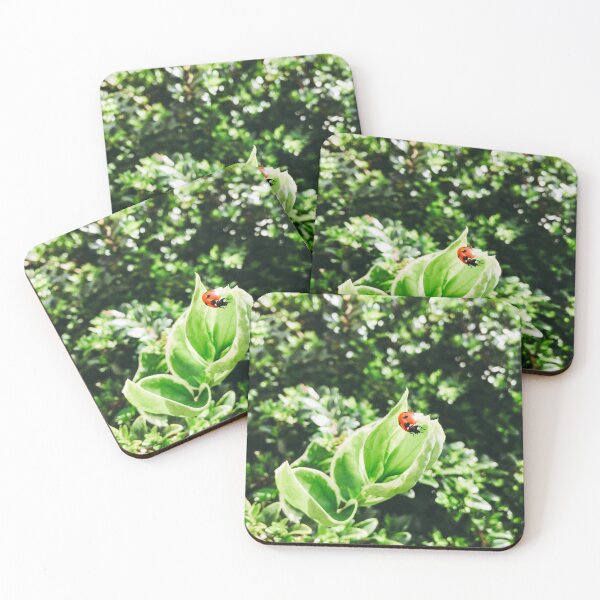 Item preview, Ladybird on a leaf designed and sold by Hextrovert.