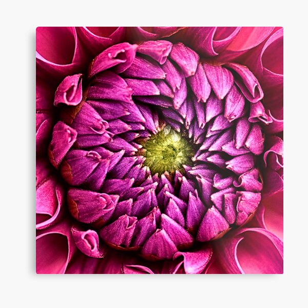Item preview, pink flower designed and sold by haroulita.