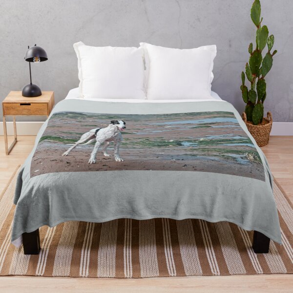 Item preview, Greyhound at the beach designed and sold by HoundieLover.