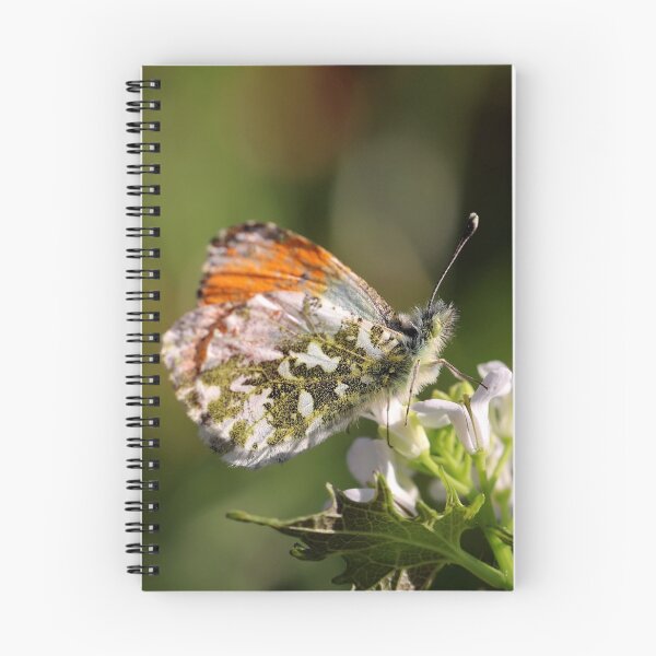 Item preview, Orange Tip designed and sold by cuprum.