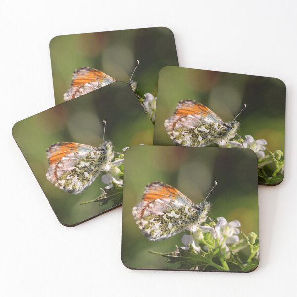Item preview, Orange Tip designed and sold by cuprum.
