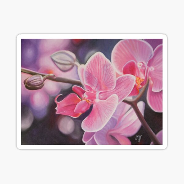 Orchidée au pastel sec Sticker