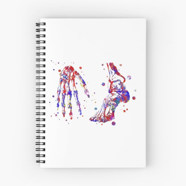 Item preview, Hand and foot, anatomy art, medical art designed and sold by Rosaliartbook.