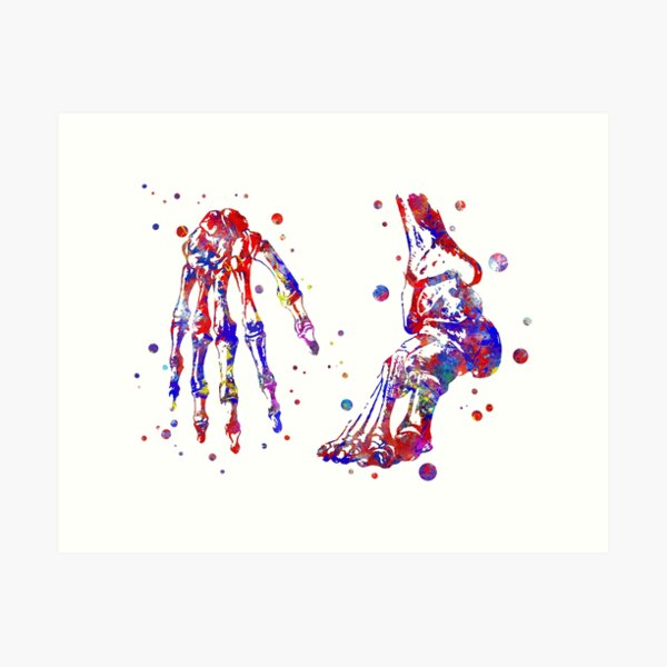 Item preview, Hand and foot, anatomy art, medical art designed and sold by Rosaliartbook.
