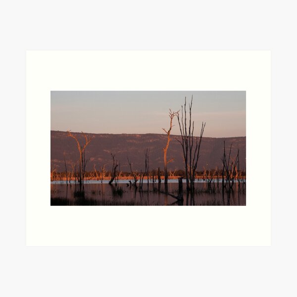 Golden Trees Art Print