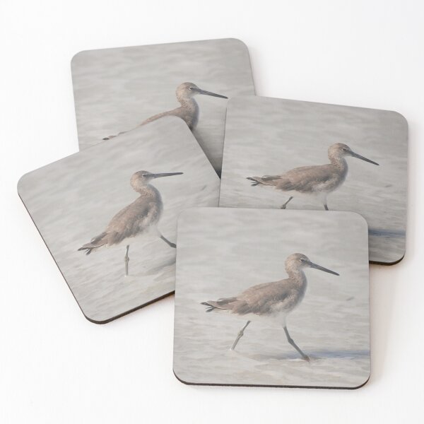 Item preview, Willet at Cayo Costa designed and sold by MinkMaguari.