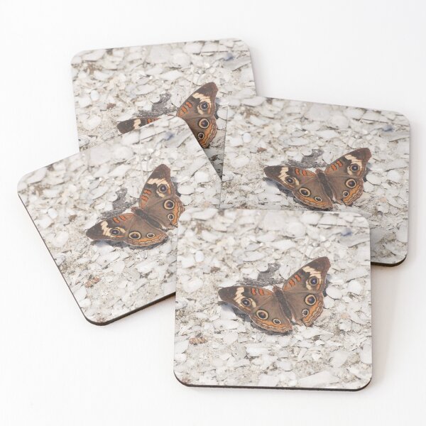 Item preview, Common Buckeye Butterfly at Cayo Costa designed and sold by MinkMaguari.