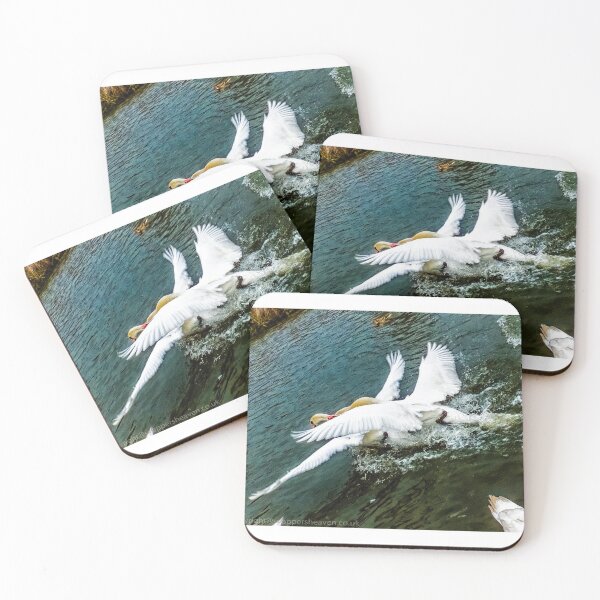 Item preview, Fighting Swans  designed and sold by designbywhacky.