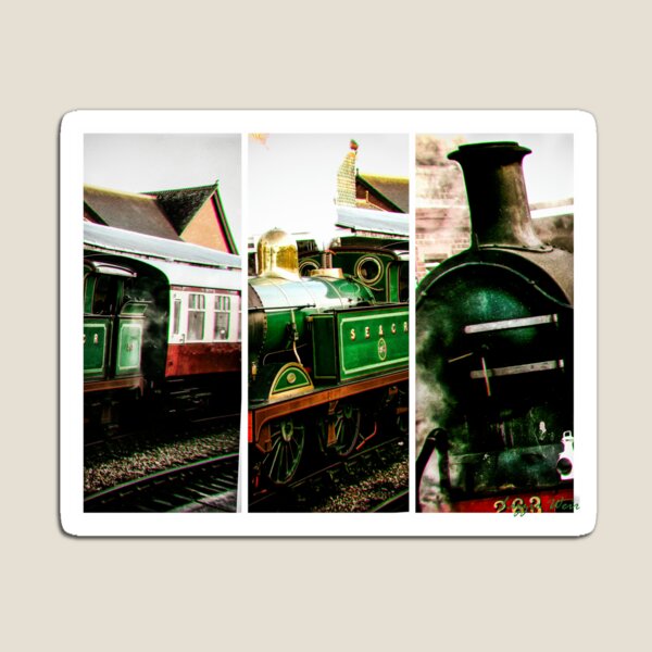 Steam on the Bluebell Line Magnet